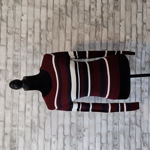 Divided Striped Maroon Sweater